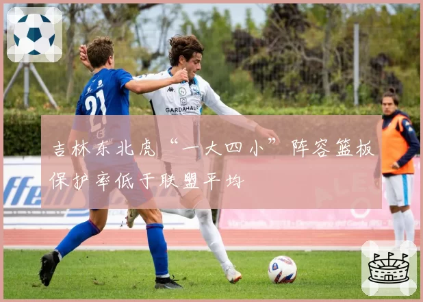吉林东北虎“一大四小”阵容篮板保护率低于联盟平均