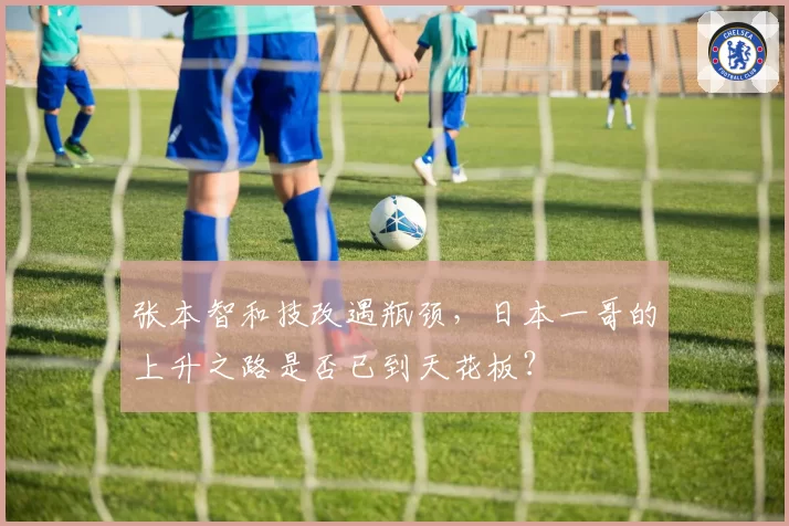 张本智和技改遇瓶颈，日本一哥的上升之路是否已到天花板？