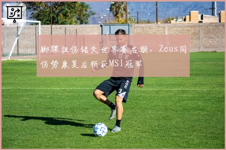 脚踝扭伤错失世界赛名额，Zeus同伤势康复后斩获MSI冠军