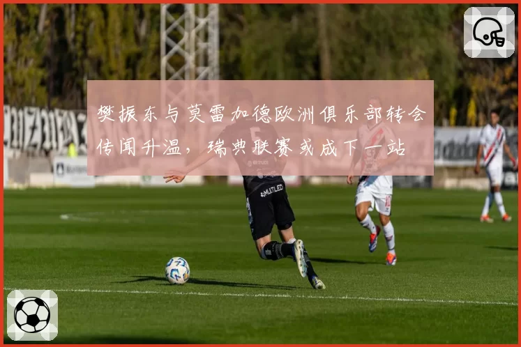 樊振东与莫雷加德欧洲俱乐部转会传闻升温，瑞典联赛或成下一站
