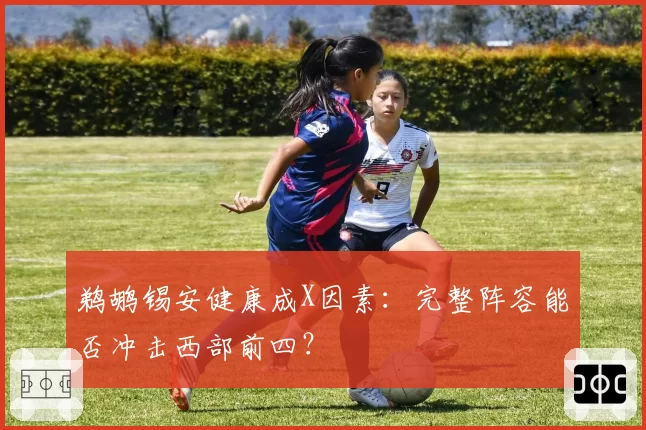 鹈鹕锡安健康成X因素:完整阵容能否冲击西部前四?