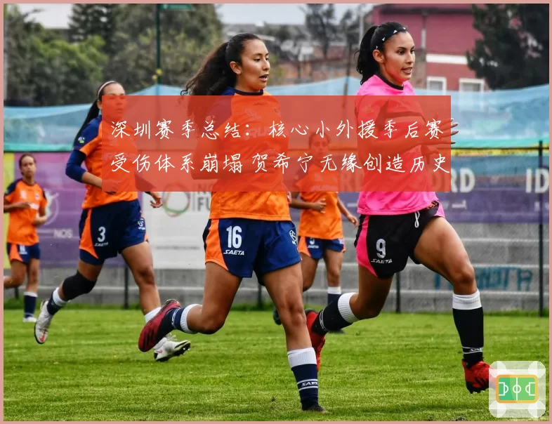 深圳赛季总结：核心小外援季后赛受伤体系崩塌 贺希宁无缘创造历史